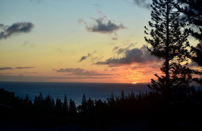 Kapalua Golf Villa 25v2 Gold Ocean View - Foto 16