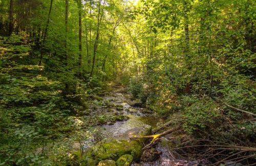 Mountain Top Retreat - Foto 46