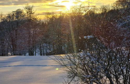 Ferienwohnung Sonnenschein mit kleinem Bauernhof - Foto 9