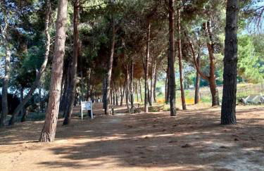 HolidayHome Manetta tra Mare e Natura - Photo 47