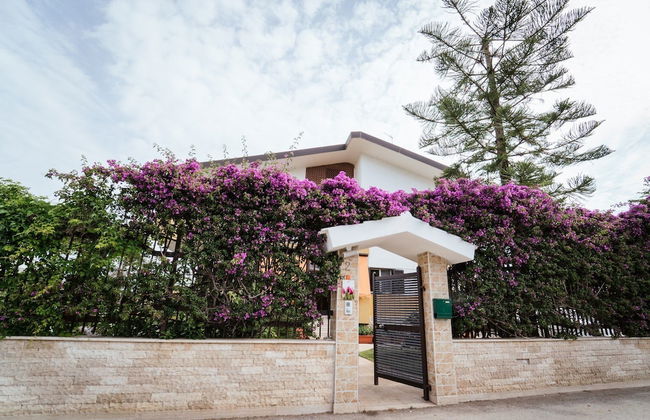 Il Tulipano Rosso - Foto 25