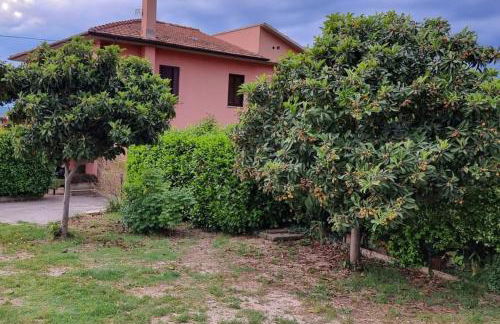 Casa Rosata - Foto 12