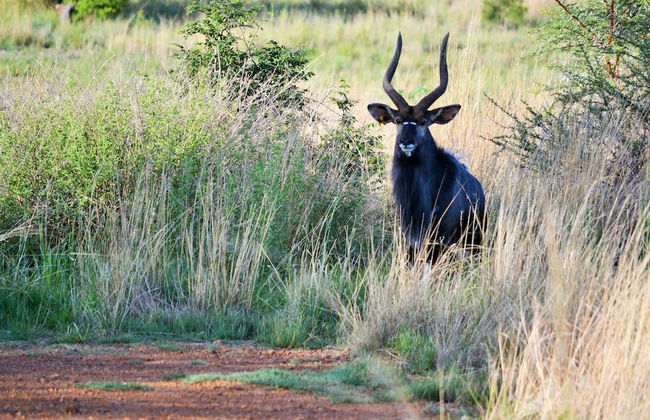 Elements Private Golf Reserve - Photo 64
