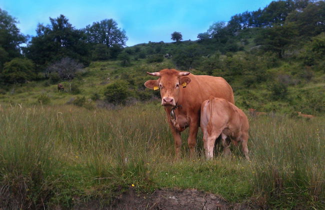Tranquil Cottage, San Quirico - Photo 35