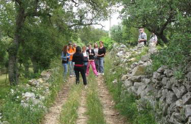 Trulli il Castagno - Foto 92