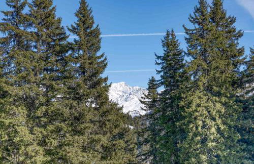 Appartement confortable à Villard-sur-Doron pour 6 personnes avec parking - FR-1-809-32 - Foto 15