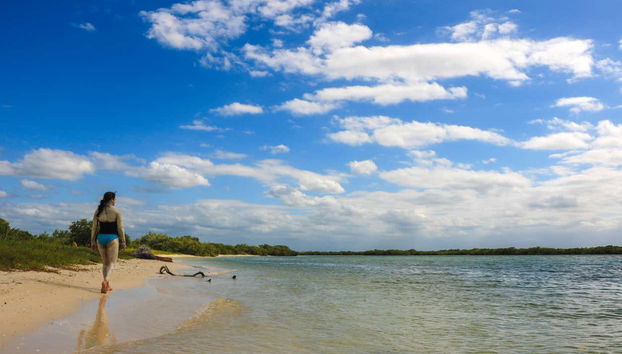 Littoral de Río Lagartos