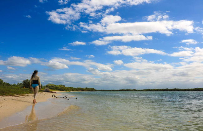 Avistamiento de aves en Río Lagartos - Foto 5