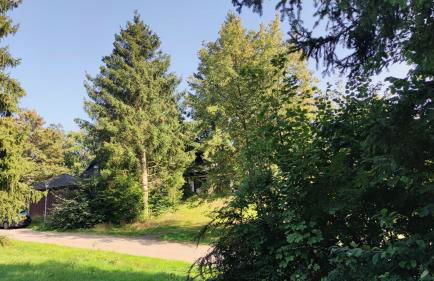 Ferienhaus Laange - Foto 20