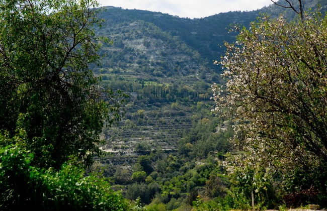 Old Olive Mill House - Foto 20