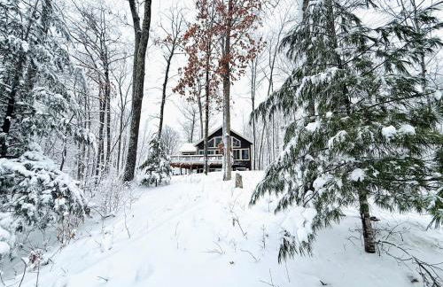 Group Lake Cabin with Ping Pong Table Loaded with Kayaks in Wisconsin - Foto 66