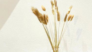 Casa Daphne - Foto 4