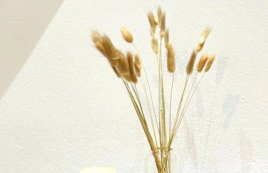 Casa Daphne - Foto 4