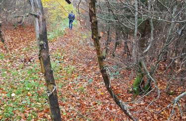 Apartment Am Sternberg 236 - Foto 61