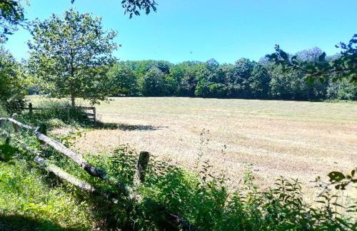 Gîte "Rêves de Gamins", proche du pôle Européen et du circuit des 24h - Foto 45