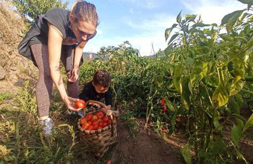 Cerrás Agroturismo - Foto 71