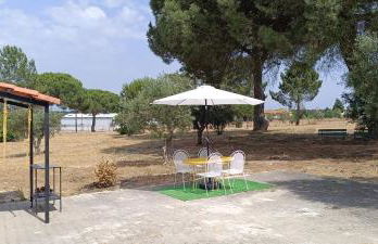 Quinta do Pinheirão - Foto 21