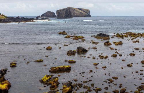 Casas do Porto - Azalea and Hortênsia - Foto 64