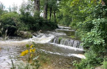Ferienwohnung am Moosbach - Foto 11