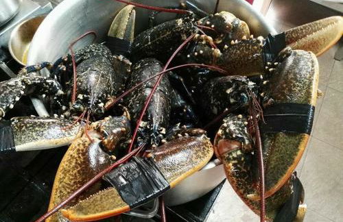 Casa Dorinda - Foto 17