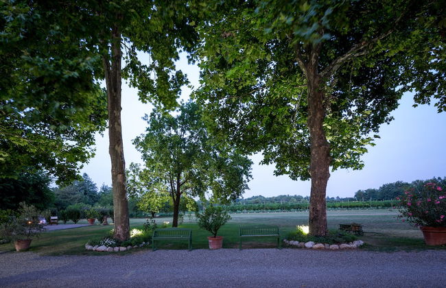 Corte Finzi - Photo 51