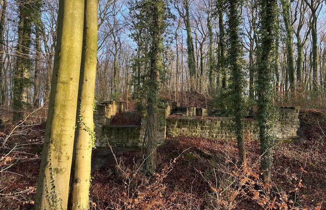 Ferienwohnung in Bissendorf - Foto 35