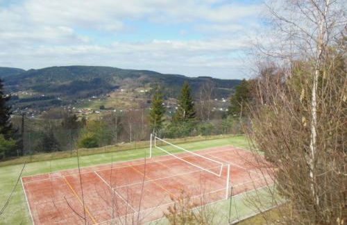 Chalet luxe 12 personnes SPA SAUNA VOSGES-GERARDMER - Foto 17