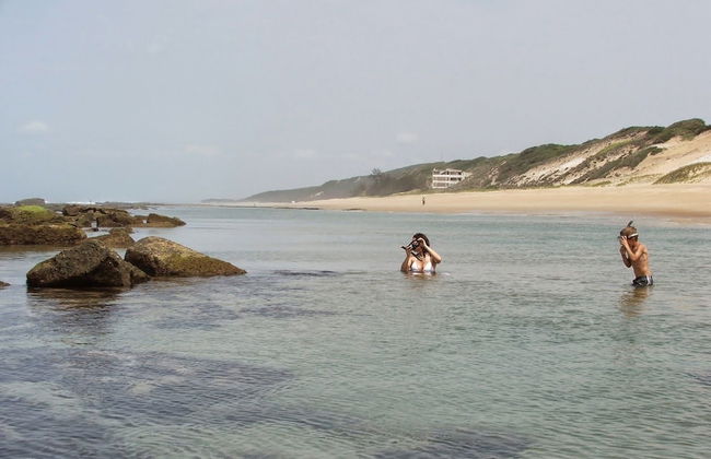 Go Wild Resort - Photo 28