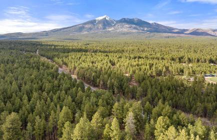 The Cozy Cottage - Foto 43