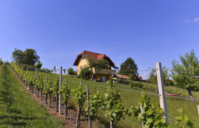 Apartments Vinska Trta - Photo 43