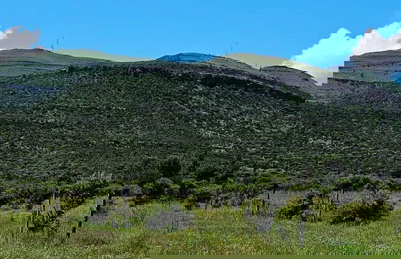 Amberdale Estate Self Catering - Photo 1