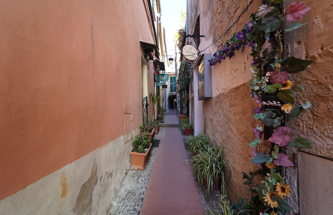 Le Notti Mediterranee - Foto 13