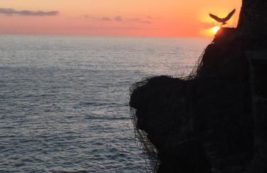 La Bloo di Vernazza - Sea View - AC&WiFi - Vernazzarentals - Foto 17