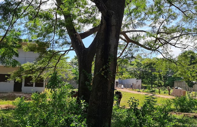 Apartamentos Montiel - Photo 23