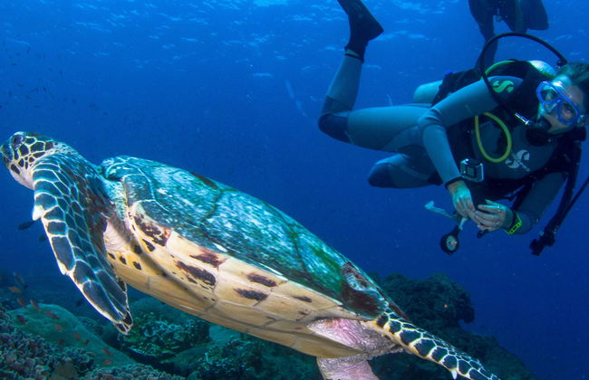 Curso PADI Discover Scuba Diving - Foto 1