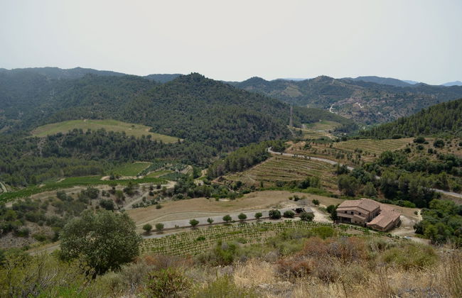 Cal Campana - Adults Only - Photo 49