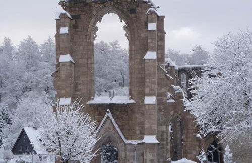 Ferienwohnungen Klosterblick - Photo 77