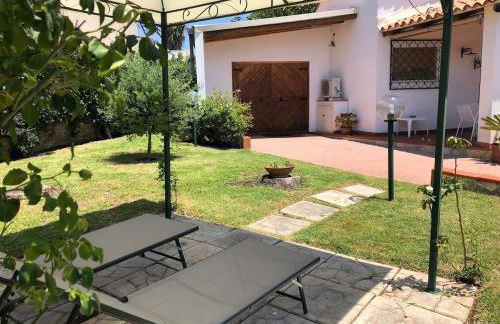 Le tre Palme - Foto 61