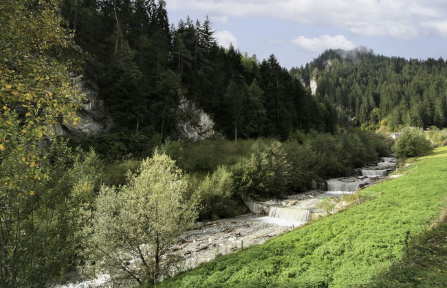 Ratschnhof - Foto 10