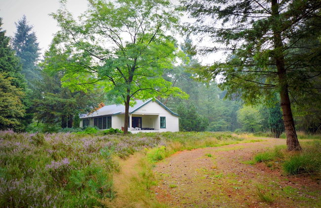 Cosy Holiday Home in Maarheeze With Verandah - Foto 45