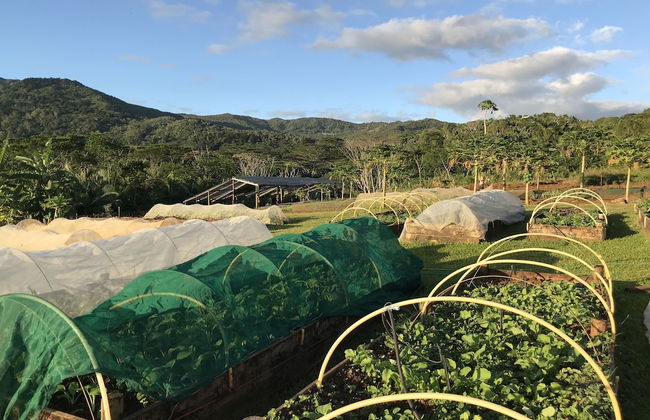 La Vieille Cheminee - Photo 55