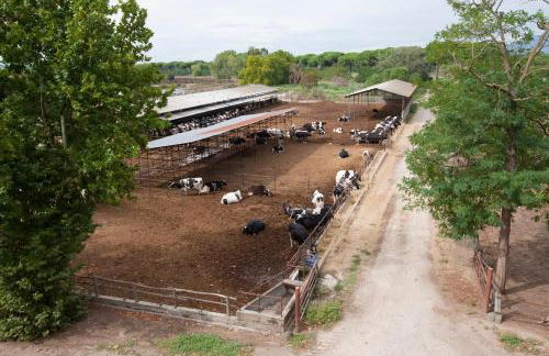 Agriturismo Pantano Borghese - Foto 48