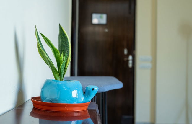 Enkay Residency V Block-Cyber City - Foto 10