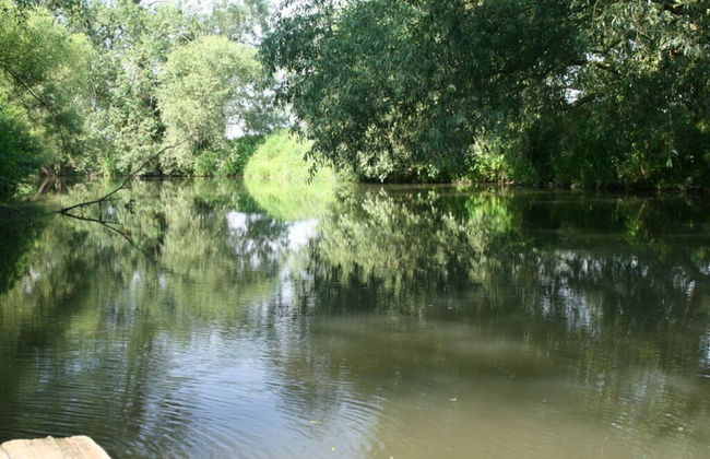 Holiday Home Hornchens Horle - Foto 12