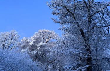 Ty Mawr, The Old School Holiday Homes - Pet Friendly - Foto 49