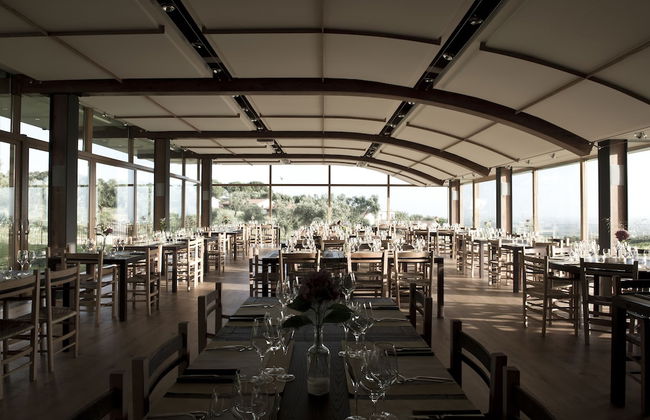 Cincinnato Wine Resort - Foto 15