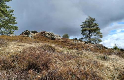Ferienhaus in der Nähe der Skipiste - Foto 36