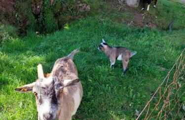 Urlaub an der Grenze - Foto 37