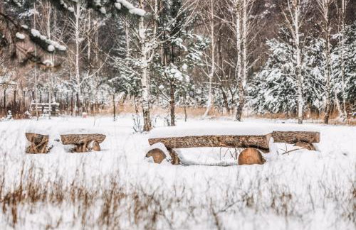 Sosnowy Raj domki nad rzeką Wkrą - Foto 11