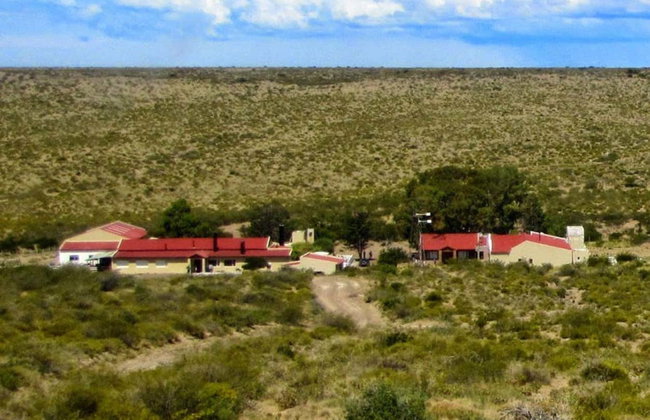 Tour di Puerto Madryn per croceristi - Foto 4